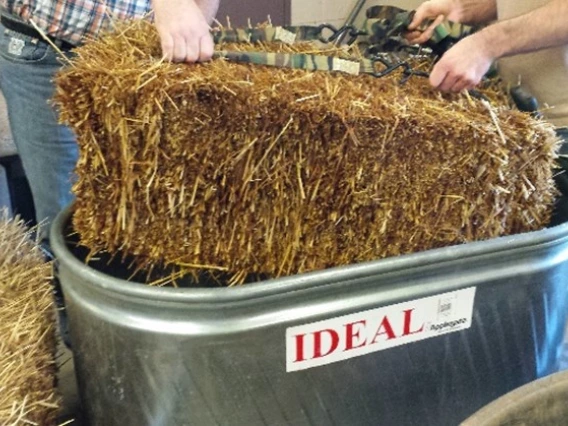 Rehydration of switchgrass hay prior to inoculation