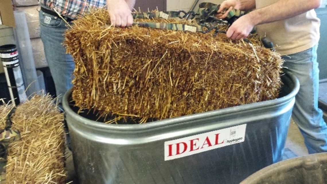 Rehydration of switchgrass hay prior to inoculation
