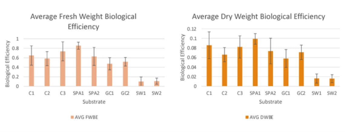 Biological efficiencies of BSG-based media