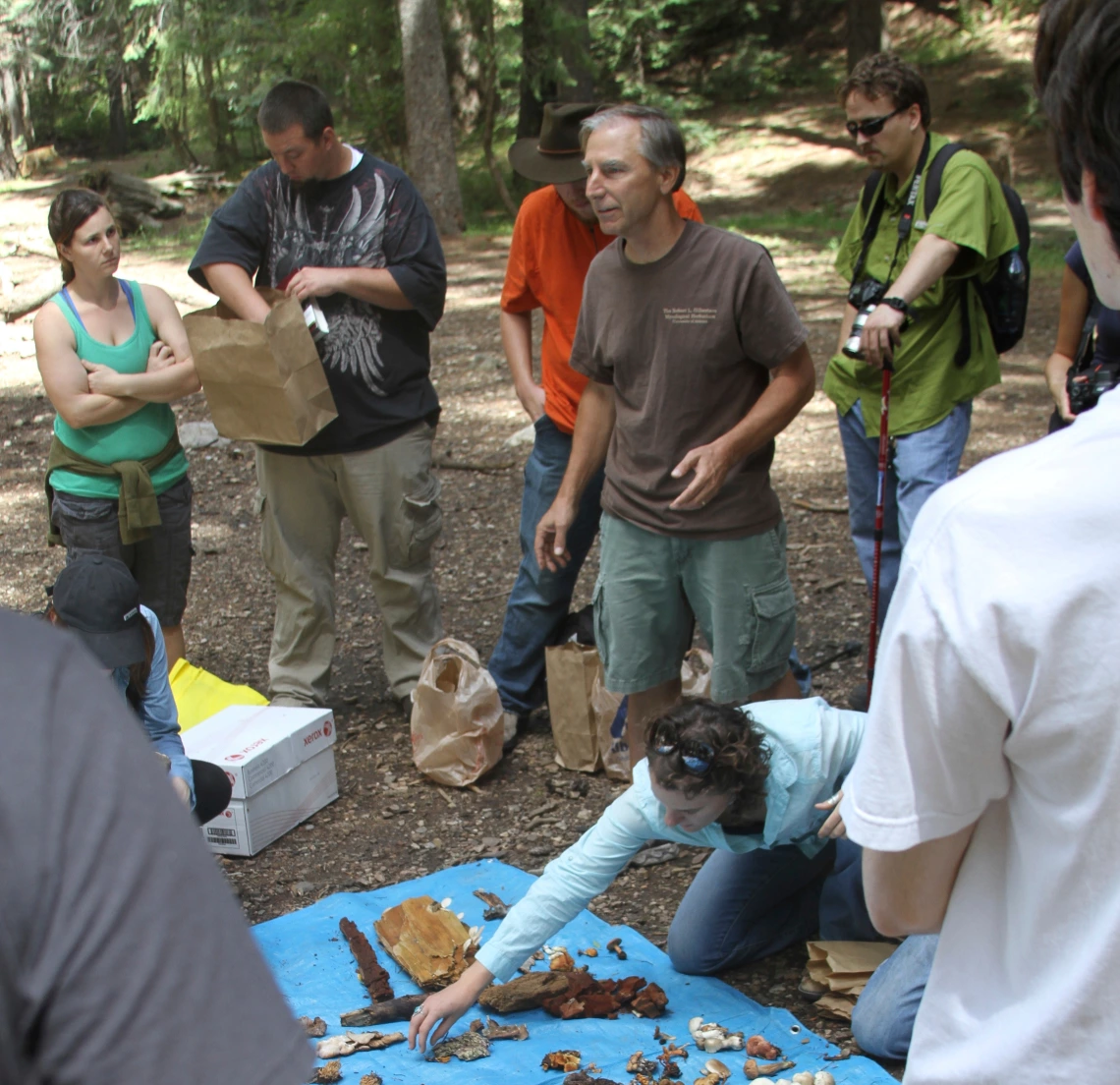 fungal foray