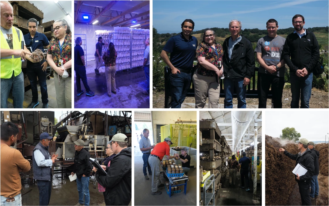 A collage of images of the WMRN network researchers talking to mushroom growers and touring thier production facilities.