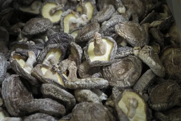 Image of dried shiitakes.